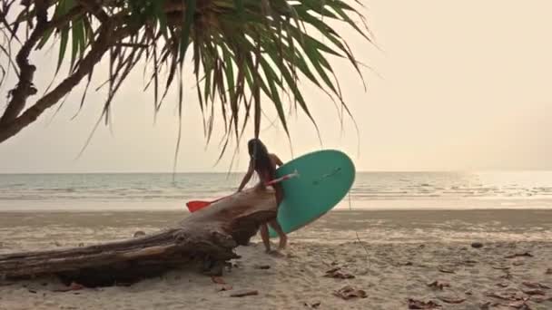 泰国比基尼带着木板和桨在海滩上行走和行走的年轻女子全速慢镜头拍摄 — 图库视频影像