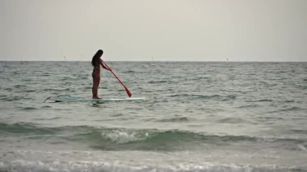 Large Slow Motion Tracking Shot Woman Debout Sur Planche Pagaie — Video
