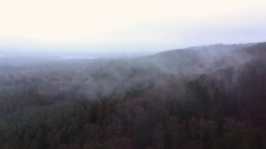 Weial Over the Hills is covered with Himmelbjerget Area on a Foggy Autumn Day, Danimarka. Geniş Panoramik Çekim. Kamera İleriye Taşır