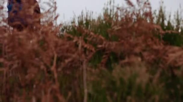 Tourist Backpack Enjoys View Top Himmelbjerget Hill Denmark Bottom Tilt — ストック動画