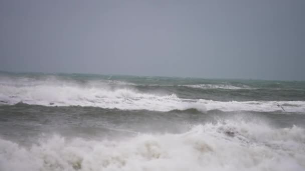 Epic Seascape Big Waves Crashing Coast Storm Seagull Flies Water — Stock videók
