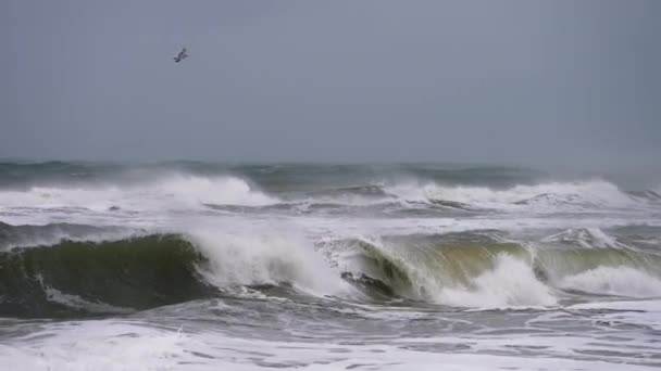 Epic Seascape Big Waves Estão Batendo Para Costa Tempestade Gaivotas — Vídeo de Stock