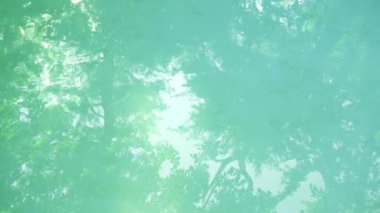 Dalgalı Su Yüzeyi Üzerinde Uzun Ağaçlar ve Gökyüzü Yansımaları