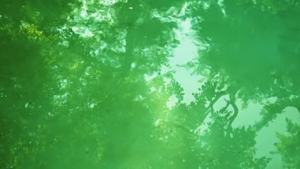Árboles Altos Reflejos Del Cielo Una Superficie Agua Ondulada Panorámica — Vídeos de Stock