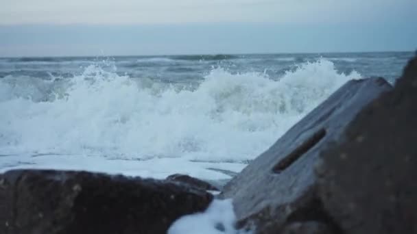 Mořské Vlny Řítí Skalám Pobřeží Mořská Pláštěnka Zatažený Den Detailní — Stock video