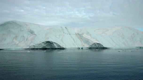 Weitverfolgungsschuss Vom Boot Über Dem Meer Nach Vogelschwarm Der Eisberg — Stockvideo