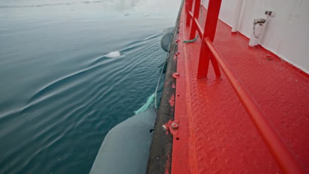 Mouvement Lent Moyen Tiré Côté Bateau Déplaçant Travers Mer Groenland — Video