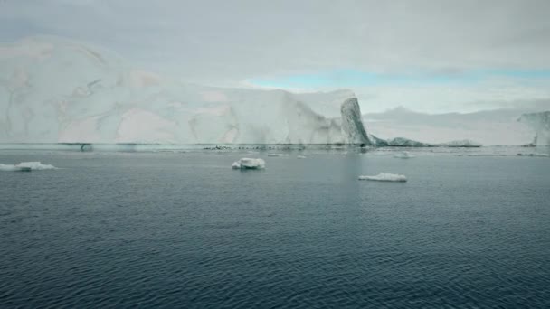 Széles Nyomkövető Lövés Tengeren Túlról Grönlandi Jéghegy Mellett Repülő Madárrajt — Stock videók