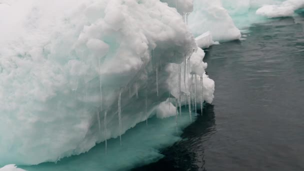 Medium Arcing Slow Motion Shot Dripping Icicles Iceberg Sea Greenland — Αρχείο Βίντεο