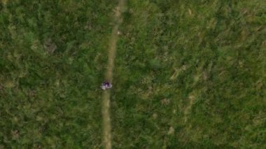 Yeşil Çayır 'da Yol Boyunca Yürüyen Bir Adam' ın Havadan Aşağı Görünümü. Geniş Sabit Çekim