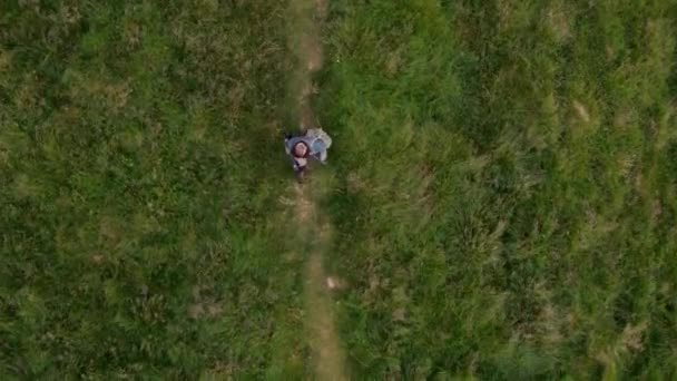 Góry Dół Widok Człowieka Kroczącego Wzdłuż Ścieżki Przez Zieloną Łąkę — Wideo stockowe
