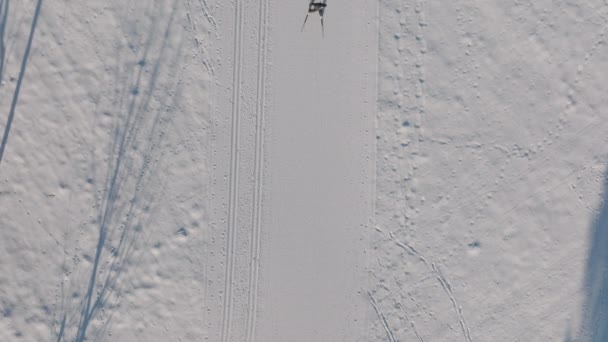 Lockdown Overhead Wide Shot Cross Country Skier Skiing Snowy Path — Stock Video