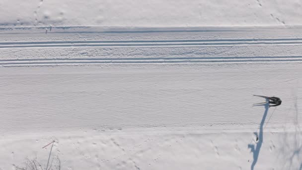 Lockdown Overhead Wide Shot Cross Country Skier Skiing Snowy Path — Vídeo de Stock