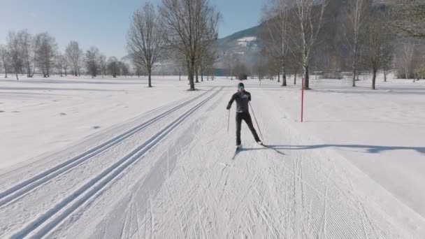 Wide Slow Motion Tracking Shot Cross Country Skier Skiing Snowy — Αρχείο Βίντεο