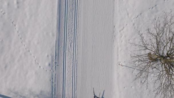 Lockdown Overhead Wide Shot Cross Country Skier Skiing Snowy Path — kuvapankkivideo