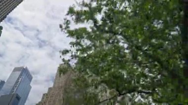 Dolly Wide Low Angle Shot Of New York Skyline Through Trees With The Woolworth Building