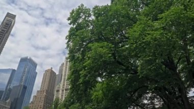 Dolly Wide Low Angle Shot Of New York Skyline Over Trees With Rockefeller Plaza And The Woolworth Building