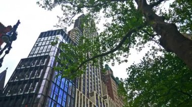 Low Angle Wide Panning Shot Of New York City Buildings And Trees