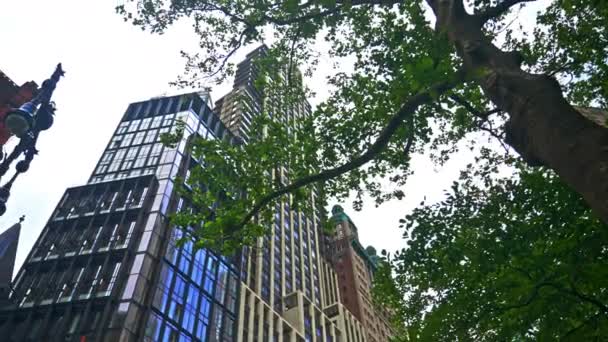 Low Angle Wide Panning Shot New York City Buildings Trees — Stok video