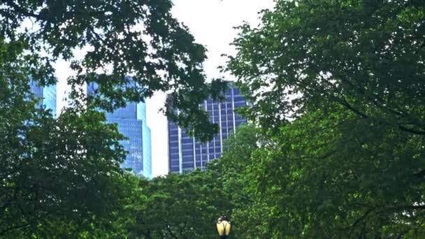 Handheld Wide Panning Shot Central Park Skyscrapers New York City — Stockvideo