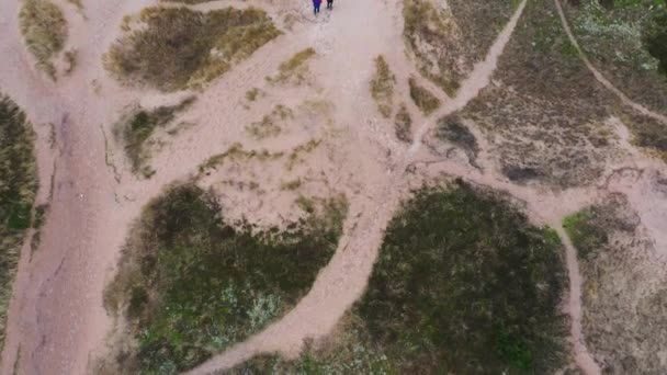 Aerial Tourists Walking Grass Covered Sand Dunes Many Trails Top — Stock Video