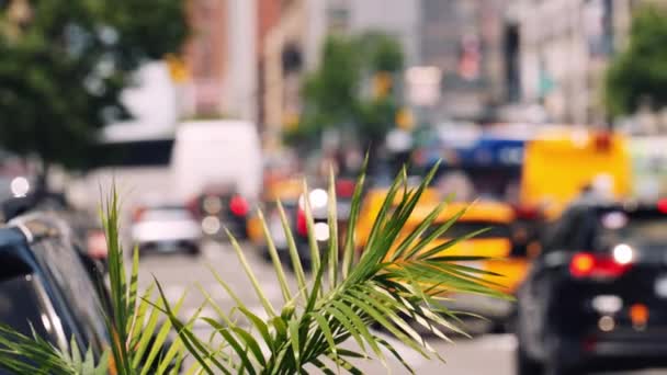 Traffic Road Midtown New York Blurred Cityscape View Throught Green — Stock video