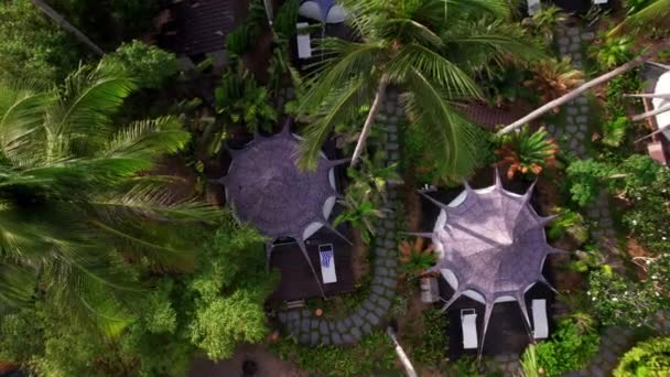 Aerial View Luxury Resort Tent Houses Coconut Trees Tropical Forest — Video Stock