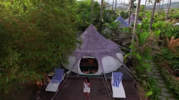 Aerial View Luxury Resort Σκηνή House Μεταξύ Καρύδας Δέντρα Στο — Αρχείο Βίντεο