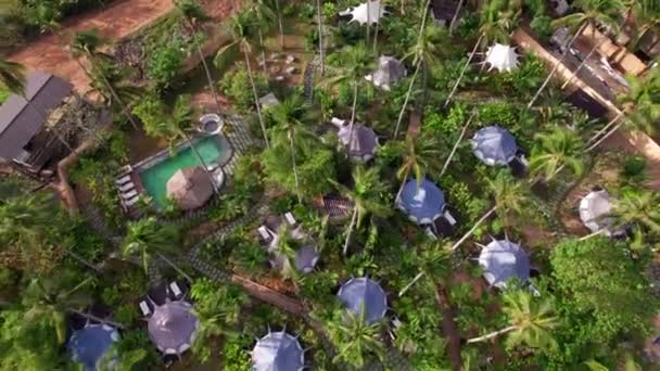 Aerial View Luxury Resort Tent Houses Coconut Trees Tropical Forest — Vídeos de Stock