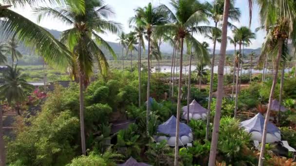 Aerial View Luxury Resort Tent House Coconut Trees Tropical Forest — Stock video