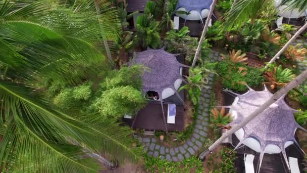 Aerial View Luxury Resort Tent House Coconut Trees Tropical Forest — Wideo stockowe