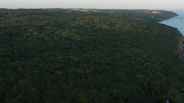 Aerial Over Dense Forest Near Fortress of Hammershus Ruins at sunset, Denmark. Panoramic Shot