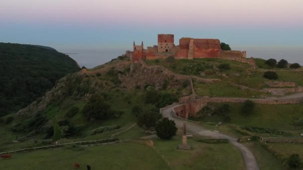 Aerial Small Pasture Grazing Cows Front Impressive Medieval Fortress Hammershus — Stock Video