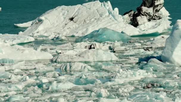 Ice Formations Jokulsarlon Glacier Lagoon Diamond Beach South Coast Iceland — Stock video