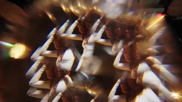 Kaleidoscope Effect Shot Charming African American Woman Fluffy Afro Style — Stockvideo