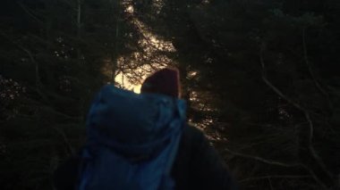 Close-up Back View of a Hiker Mans Silhouette with Backpack Standing in Front of Trees in the Forest Against the Sun. Slow Motion Shot. Focus Is on the Background