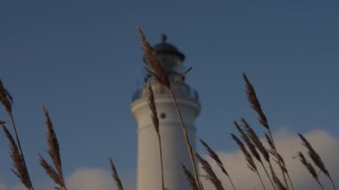 Bottom Up View Through the Swaying in the Wind Dry Grass on the Top of Lighthouse Against Blue Skies. Racking Focus Shot