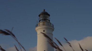 Bottom Up View Through the Swaying in the Wind Dry Grass on the Top of Lighthouse Against Blue Skies. Racking Focus Shot