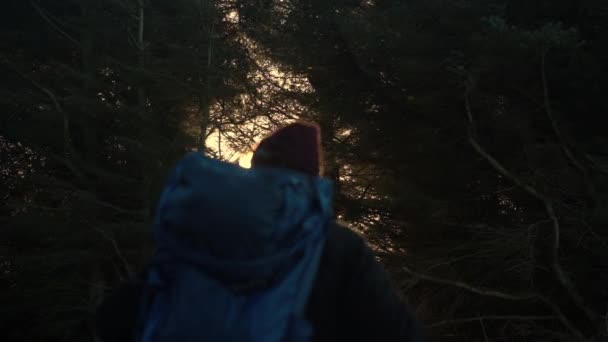 Close Back View Hiker Mans Silhouette Backpack Standing Front Trees — Video Stock