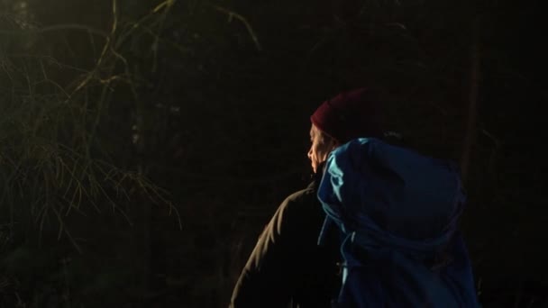 Close Back View Hiker Man Backpack Walks Trees Forest Sun — Vídeos de Stock