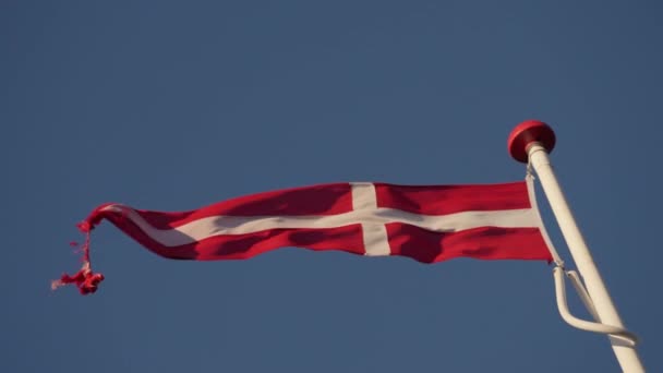 Close Denmark National Flag Top Flag Pole Waving Wind Blue — 图库视频影像