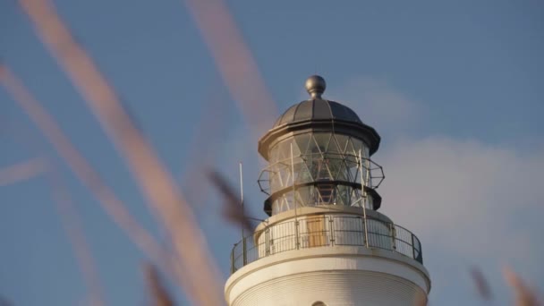 Close Bottom View Swaying Wind Dry Grass Top Lighthouse Blue — Stock video