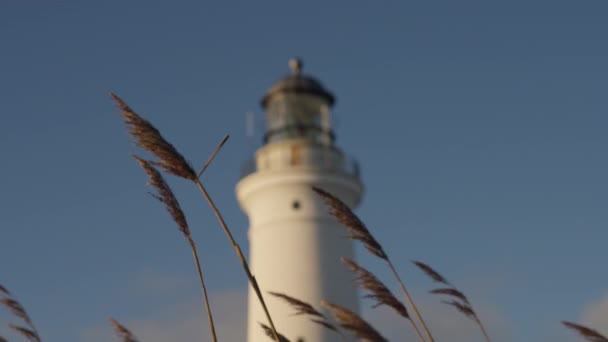 Bottom View Swaying Wind Dry Grass Top Lighthouse Blue Skies — Stok video