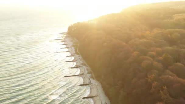 Aerial Moesgaard Beach Waves Crashing Shore Sunset Denmark Beautiful Calm — Video Stock