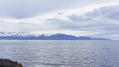 Aerial of Magnificent  Seascape of North Iceland Shore. Snow Capped Mountains and Arch Rock Near Town of Husavik. Drone Flies Backwards Through the Arch