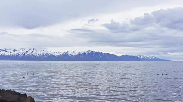 Aerial Magnificent Seascape North Iceland Shore Snow Capped Mountains Arch — Vídeos de Stock