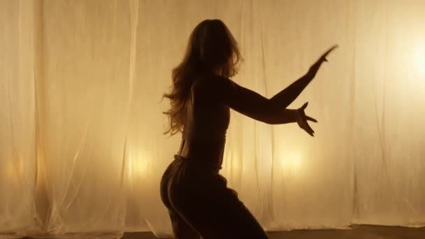Close Silhouette Professional Dancer Performing Studio Soft Warm Lighting Graceful — Stockvideo