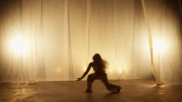 Silhouette Professional Dancer Performing Studio Soft Warm Lighting Graceful Young — Stockvideo