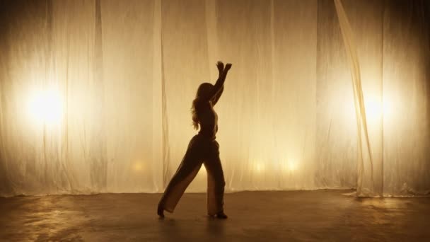 Silhouette Professional Dancer Performing Studio Soft Warm Lighting Graceful Young — Αρχείο Βίντεο