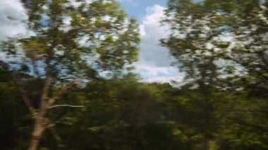 Geniş Görüş Alanı: Yemyeşil Kırsal Pencereden Geçiş